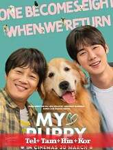 My Love Puppy (2023) HDRip Original [Telugu + Tamil + Hindi + Kor] Dubbed Movie Watch Online Free